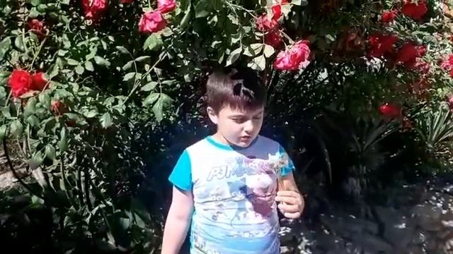 Стихотворение С.Маршака «Июнь» смотреть онлайн