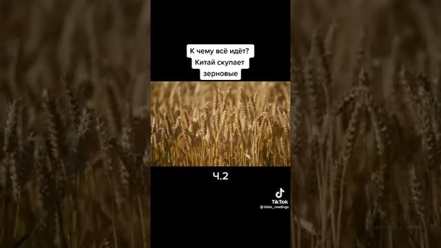 К чему всë идëт, почему Китай? часть 2 смотреть онлайн