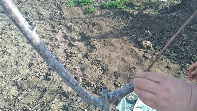 ПОЧЕМУ НЕ ПОЛУЧАЮТСЯ ПРИВИВКИ? смотреть онлайн