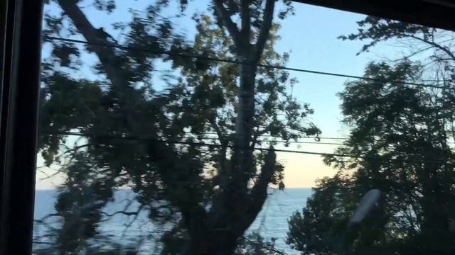 Сочи Vlog: С собакой в поезде • Двухэтажный поезд Адлер - Москва №104 • Обзор поезда смотреть онлайн