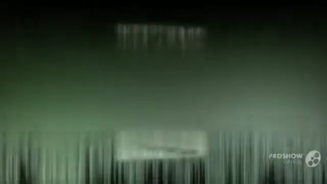 Livistona - garden plants смотреть онлайн