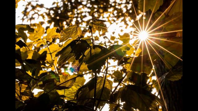 Співана Вервиця - Радісні Таїнства смотреть онлайн