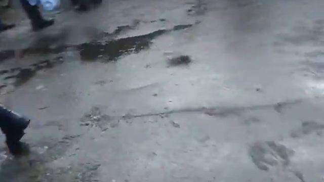 Я в зоопарке. 4 часть. смотреть онлайн