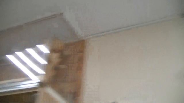 попугай вылетел из клетки смотреть онлайн