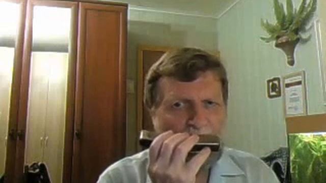 "Одинокая гармонь" (на губной гармонике) смотреть онлайн