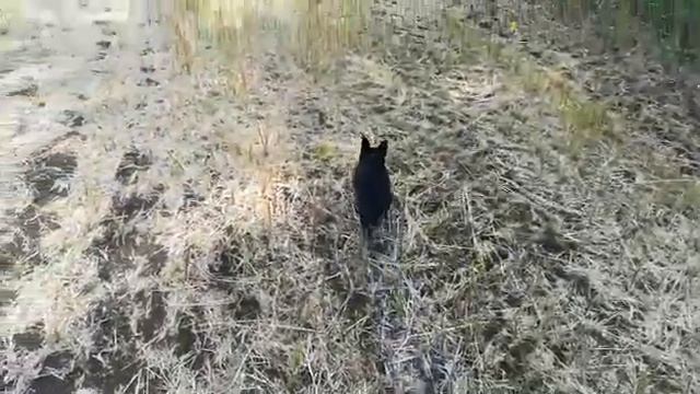 Область, природа, поле, лето 2021 смотреть онлайн