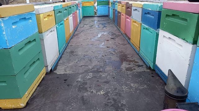 Обзор прицепа для перевозки пчел (пчелоприцепа) смотреть онлайн