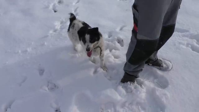 Дела житейские \ Кладу камин своими руками (часть 5 ) смотреть онлайн