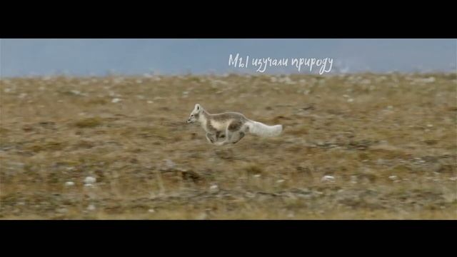 что такое заповедник смотреть онлайн