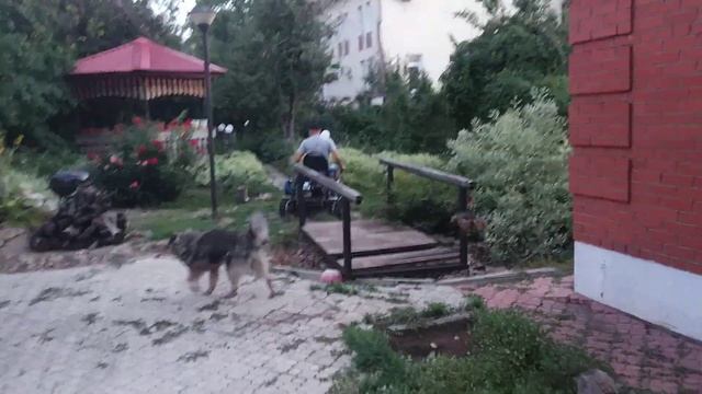 Гусеничный снегоуборщик.С чего началось. смотреть онлайн