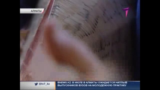 Алматинец сделал домбру из девяти тысяч спичек смотреть онлайн