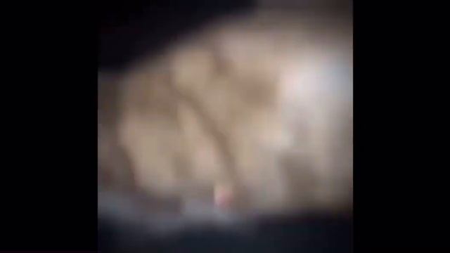 кот нассал но больше времени смотреть онлайн