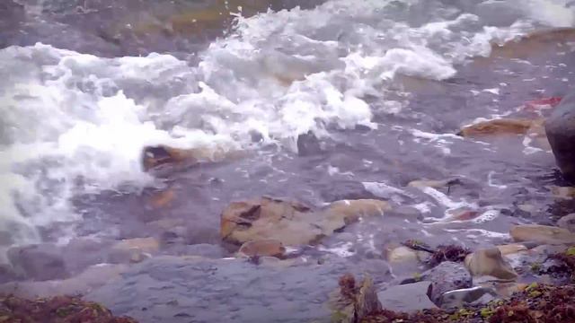 Пляж среди камней. Без комментариев смотреть онлайн