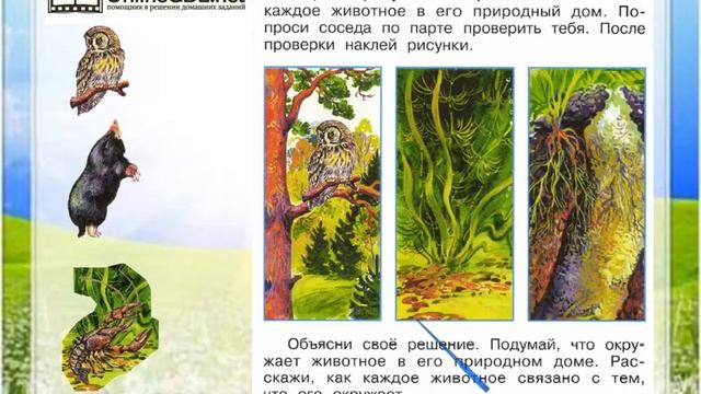 Задание 1 Как живут животные? - Окружающий мир 1 класс (Плешаков А.А.) 1 часть смотреть онлайн