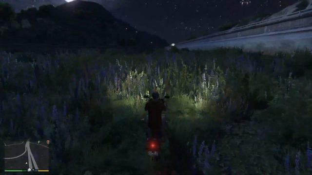 GTA V Maude Mission 1 Ralph Ostrowski And Strip Club Cheetah Private Dance