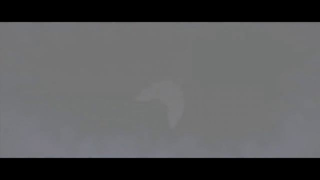 [AMV TRAILER] Berserk Desire. ''English Version'' смотреть онлайн