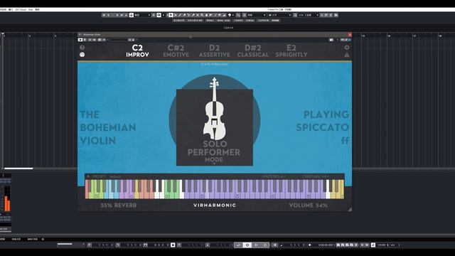 Bohemian Violin play for fun