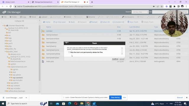 How To Uninstall Wordpress Theme Using File Manager in Cpanel смотреть онлайн