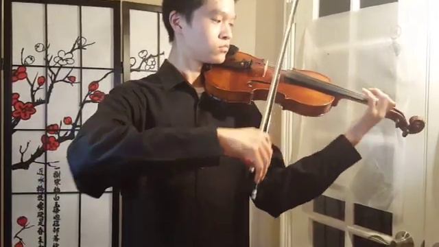 Sonata in E minor Ritornello composed by Veracini смотреть онлайн