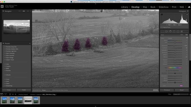 Using Adjustment Brushes in LrC смотреть онлайн