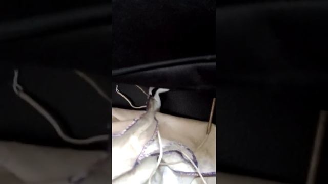 1 урок по гобою смотреть онлайн