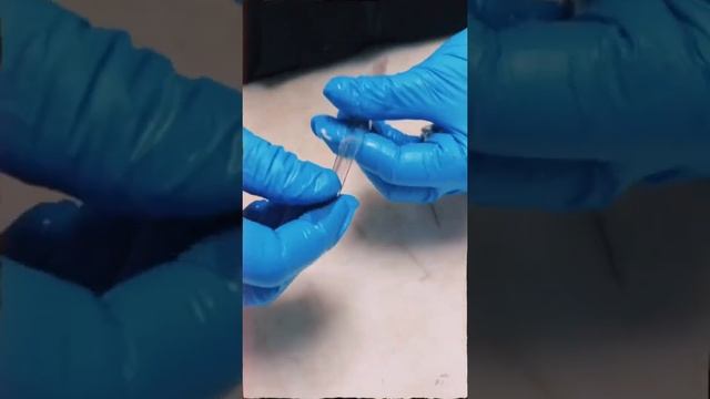 Cleaning Fresh Wild Caught US Squid! #fishmonger #squid #calamari #coastalseafoods смотреть онлайн