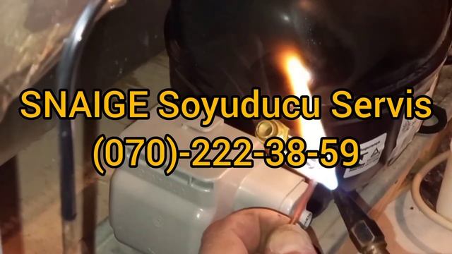 snaige soyuducu servis смотреть онлайн