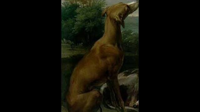 Giuseppe Tartini - Concerto per Violino,archi e cembalo смотреть онлайн