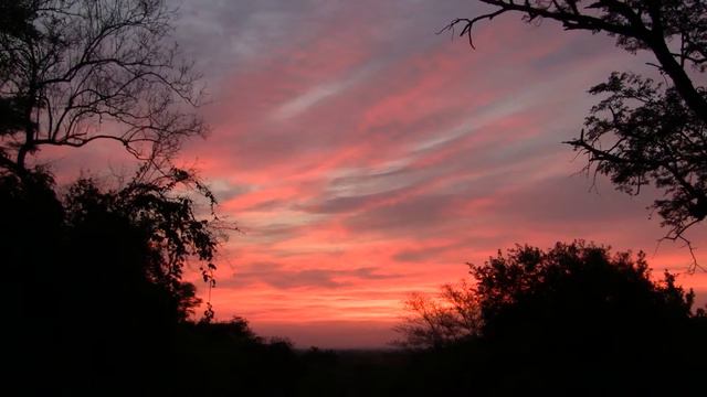 African Sunrise. Африканский восход (1148sp) смотреть онлайн