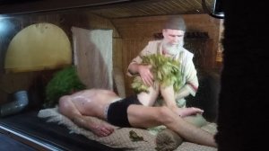 Как парят профи. Иван Бояринцев. No comments. Как париться в бане.