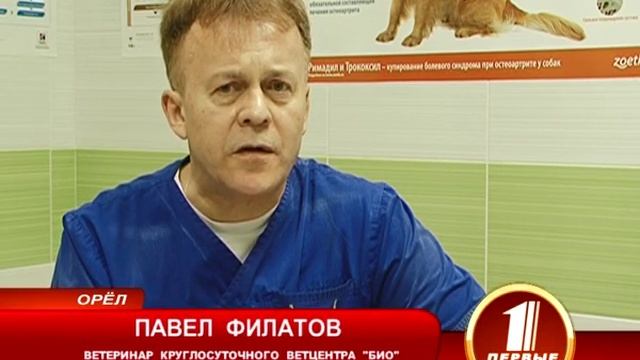 ИКСОДОВЫЙ ВРАГ смотреть онлайн