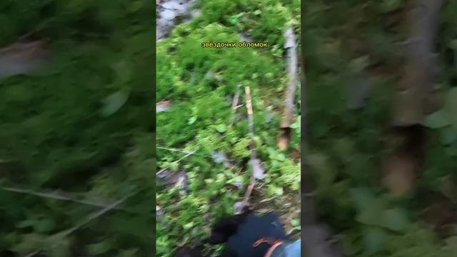 Лесная находка с металлоискателем смотреть онлайн