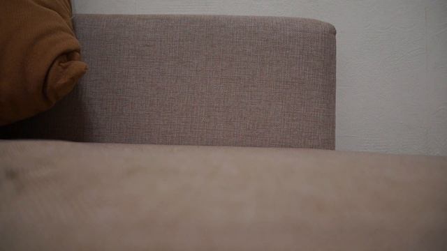обзор по попиты смотреть онлайн