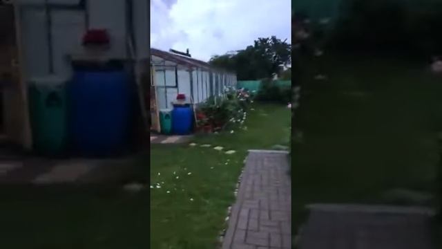 Утро после дождика (Дача) смотреть онлайн
