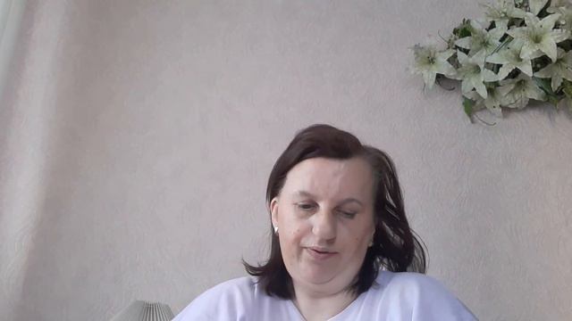 Салфетки и футболка "Черничный зефир" смотреть онлайн