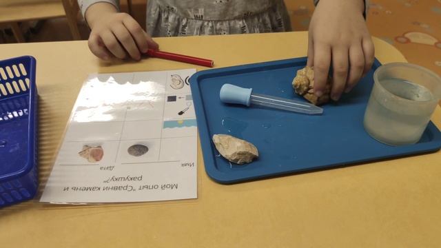 сравни ракушку и камень