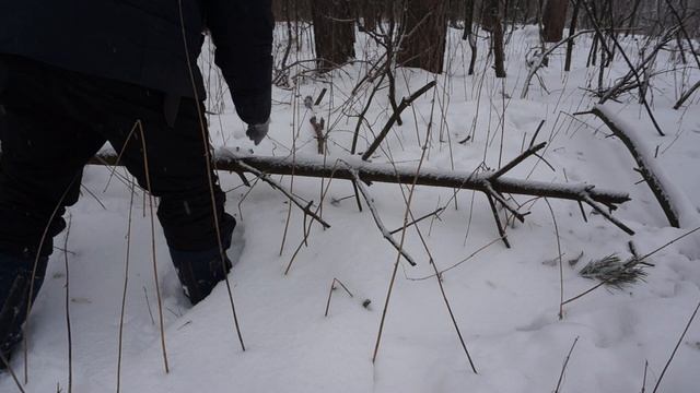 Поход в землянку Лесного Строителя. Нашел логово волков!? смотреть онлайн