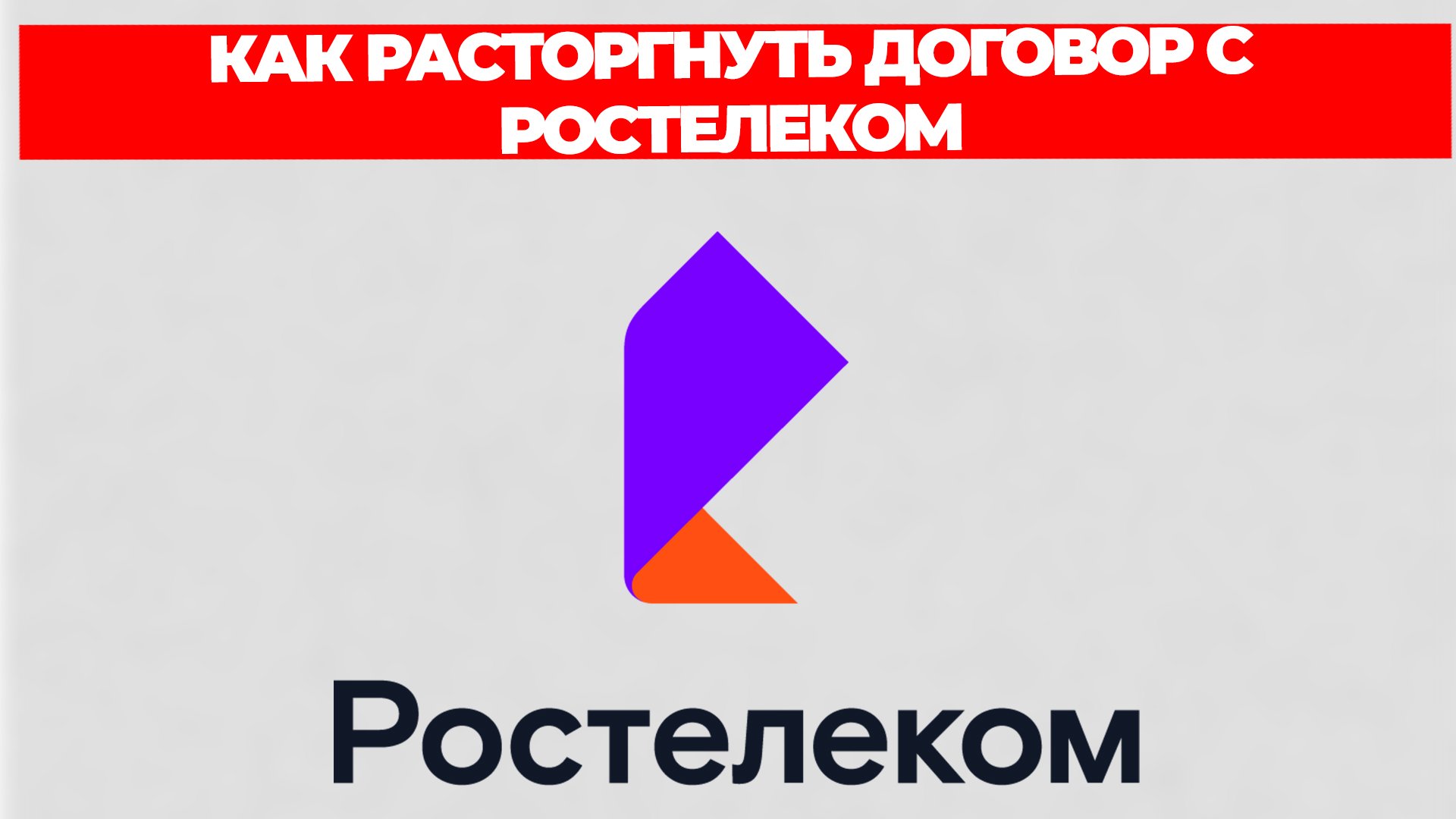 Всезнающий Енот