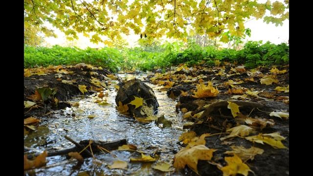 Песня о доброте. Слова Юрия Козлова, музыка и исполнение Сергея Куликова (Красноярск) смотреть онлайн