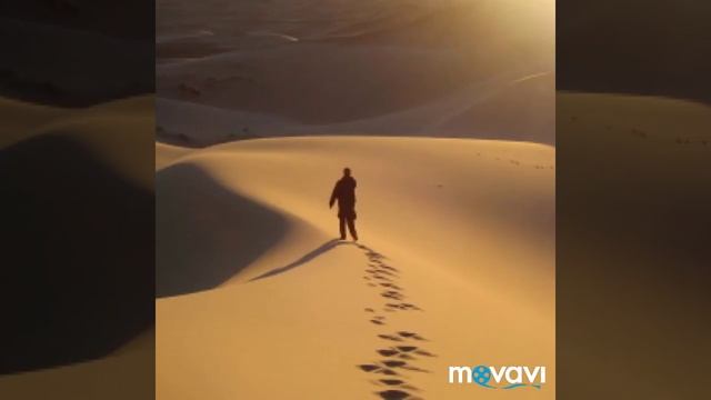 Одинокий странник потерял свою дорогу смотреть онлайн