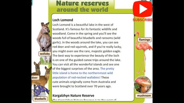 Nature Reserves around the World (Text) Excel 8 Module 6e смотреть онлайн