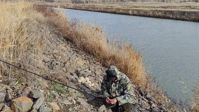 02.01.2024 приехали на рыбалку на двое суток на канал! Открытие сезона рыбалки в новом году🥳 🐠🐋🐟 смотреть онлайн
