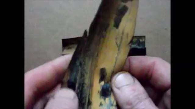 Сколько может прослужить капельная лента смотреть онлайн