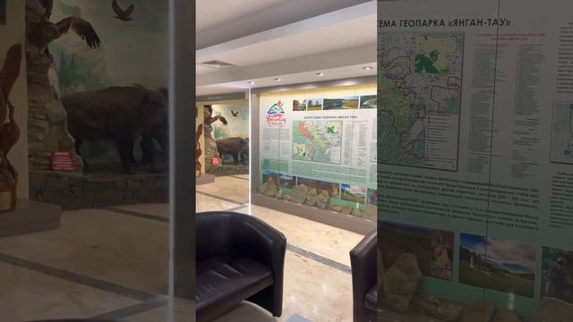 Досуг и развлечения в санатории Янгантау#янгантау#музейянгантау#санаторий#музей#отдых