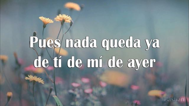 Luis Miguel - Culpable O No (Letra) ♡ смотреть онлайн