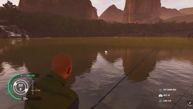 The Catch Carp & Coarse My First Mekong Catfish 67.65kg / 1.43m Gameplay PS4 смотреть онлайн