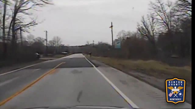 ОЛЕНЬ ВЫБЕЖАЛ НА ДОРОГУ смотреть онлайн