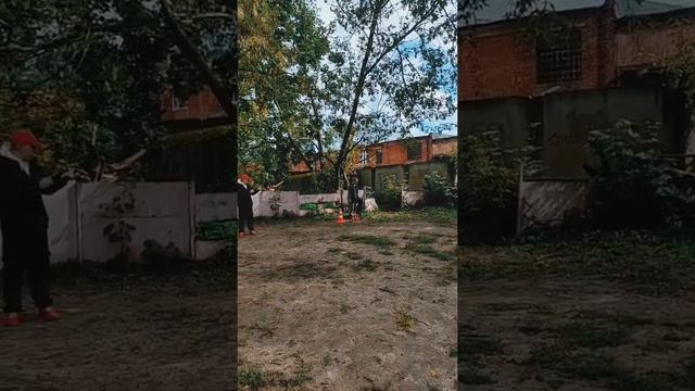 ИСПЫТАНИЯ УГС НЕМЕЦКАЯ ОВЧАРКА смотреть онлайн