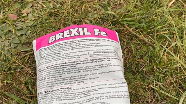 Хлороз заліза - як діагностувати нестачу заліза та як це виправити смотреть онлайн