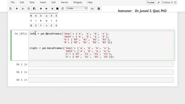 Lecture_25: Pandas Essentials -Data Wrangling- Data Science & Machine Learning using Python смотреть онлайн